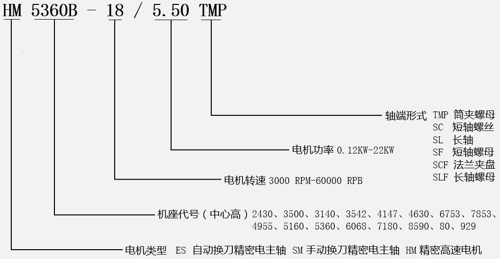 瑞德沃斯高速电机型号说明